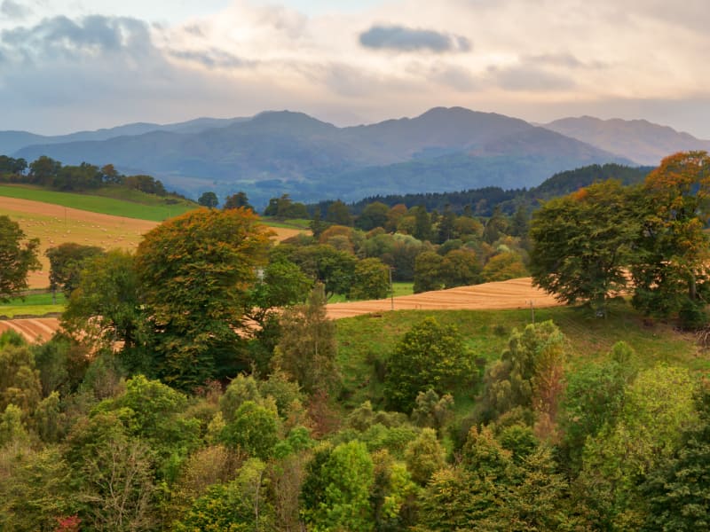 Taxi Crieff Hydro - Browns Hire